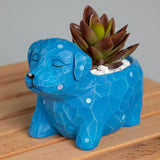 Sleeping Cat or Dog Mini Resin Planter