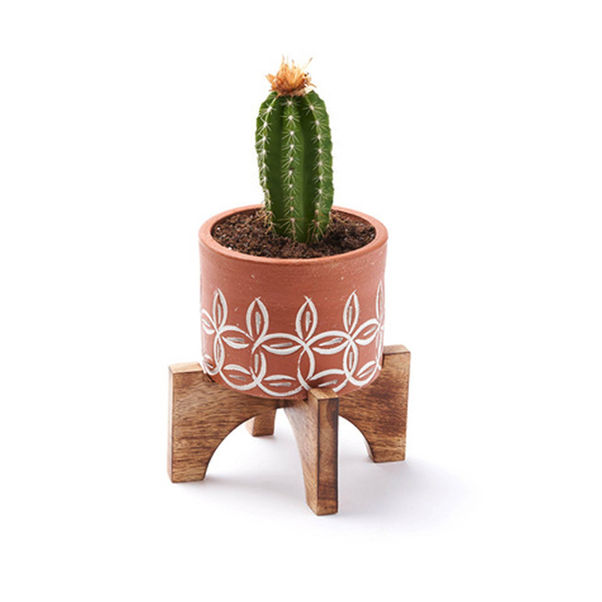 Small Terracotta Planter with Mango Wood Stand