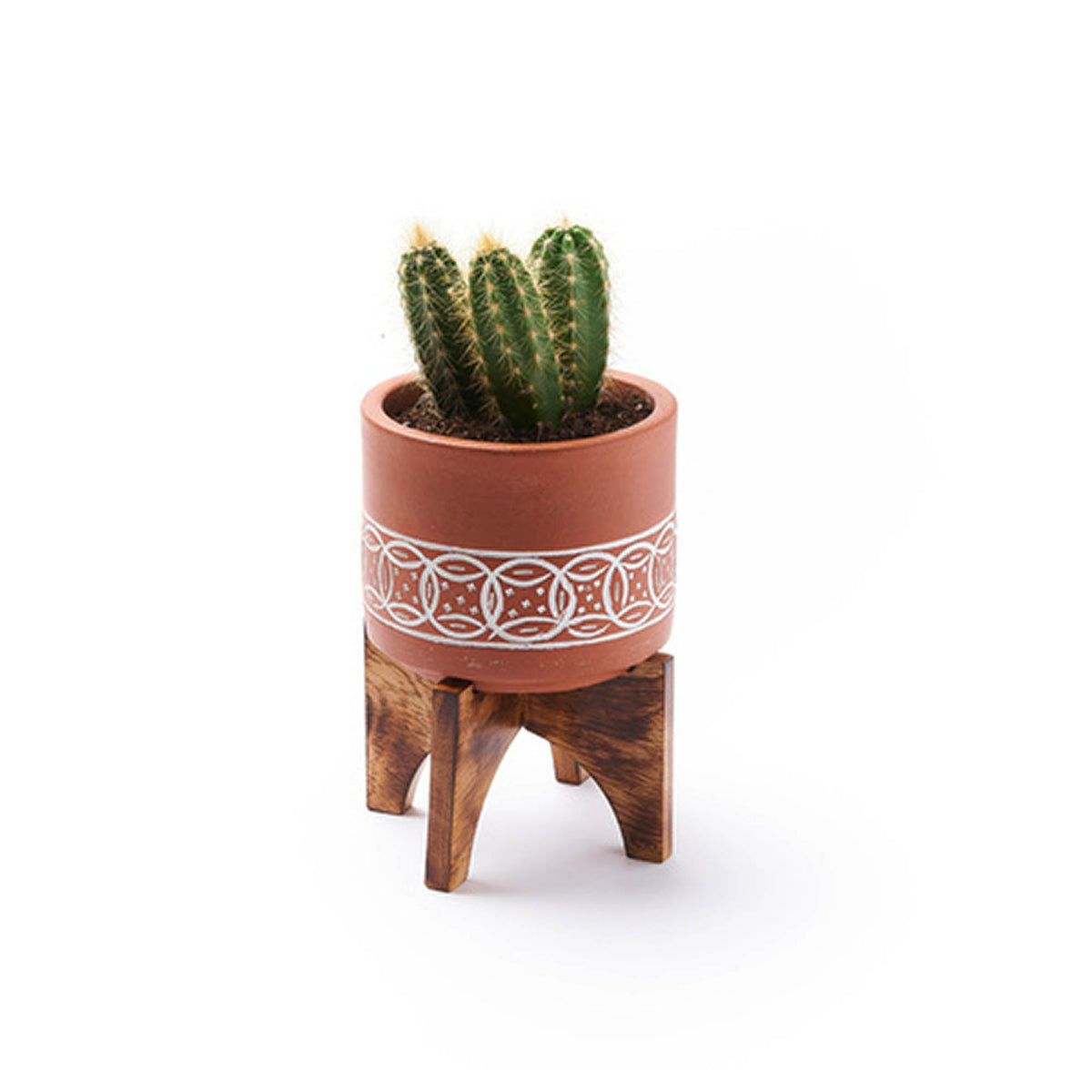 Medium Terracotta Planter with Mango Wood Stand