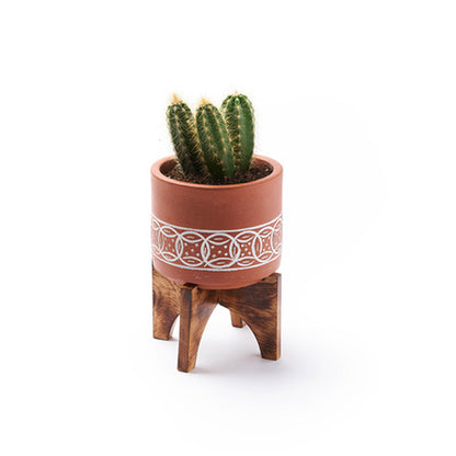 Medium Terracotta Planter with Mango Wood Stand