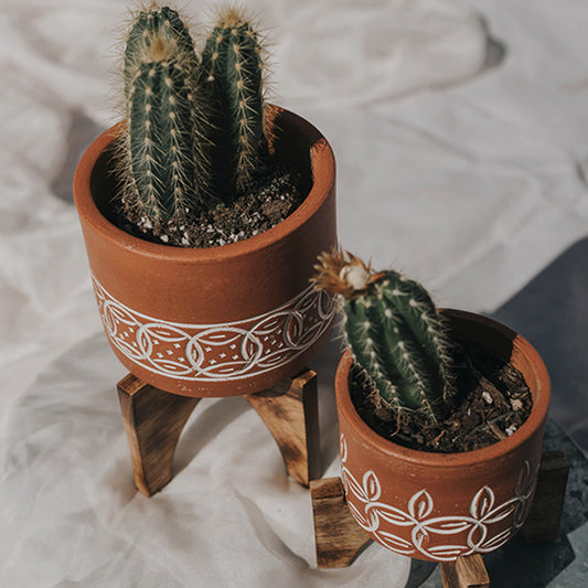Medium Terracotta Planter with Mango Wood Stand