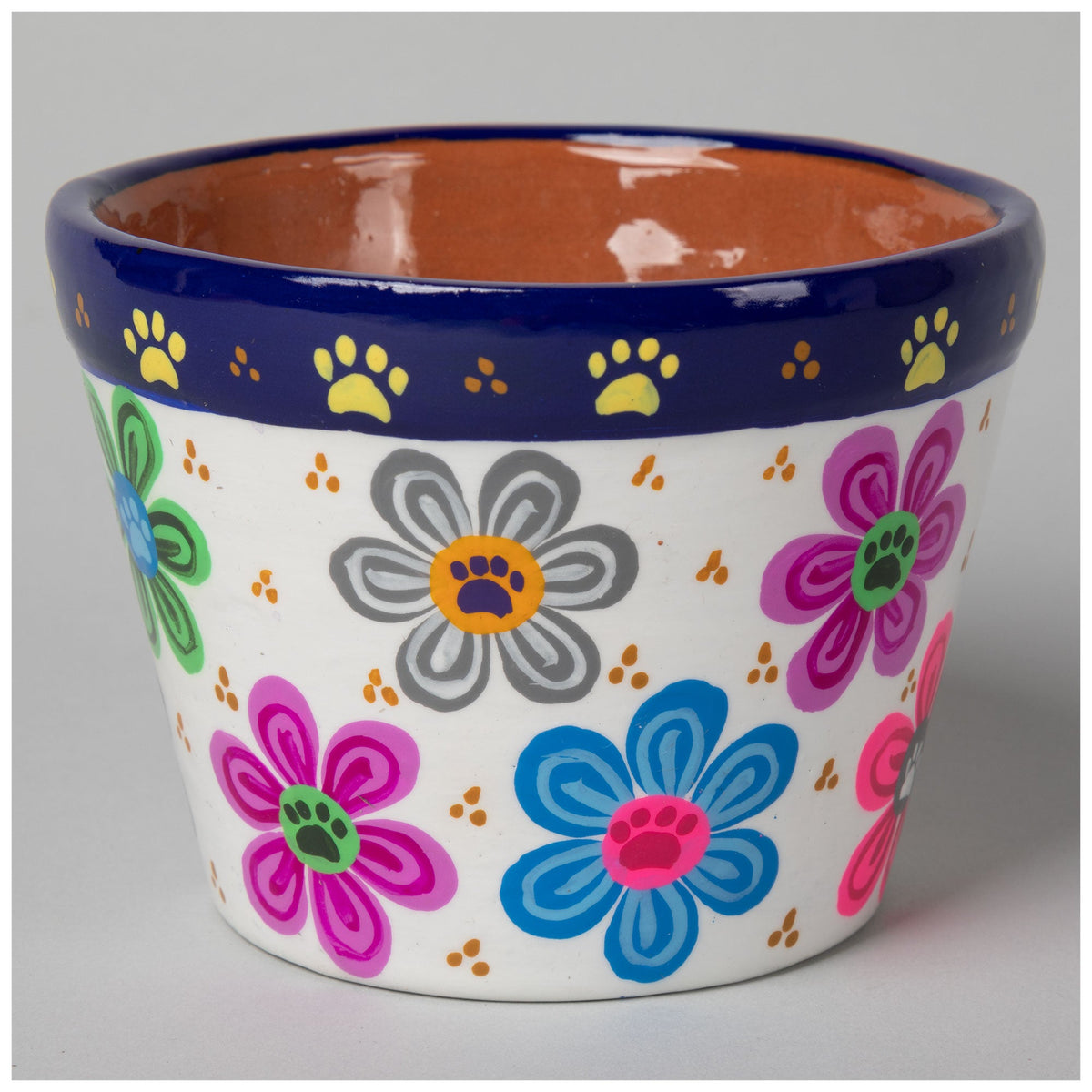Hand-Painted Paw Print Ceramic Planter & Saucer