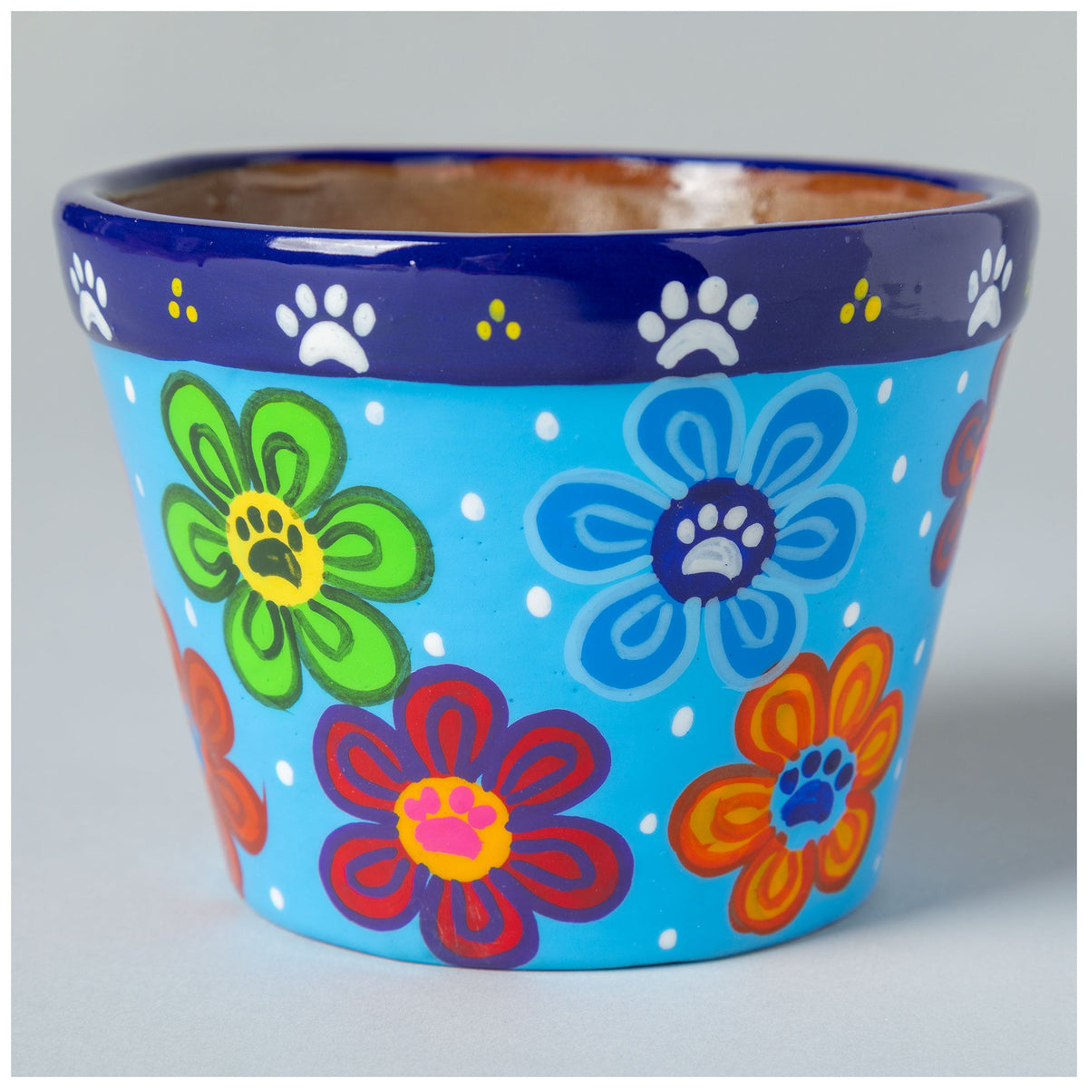 Hand-Painted Paw Print Ceramic Planter & Saucer