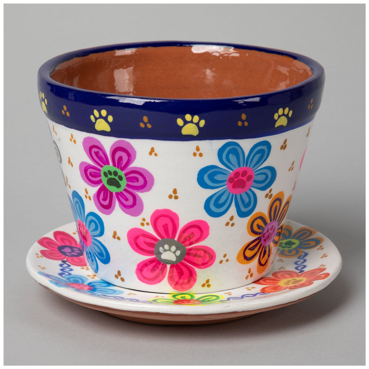 Hand-Painted Paw Print Ceramic Planter & Saucer