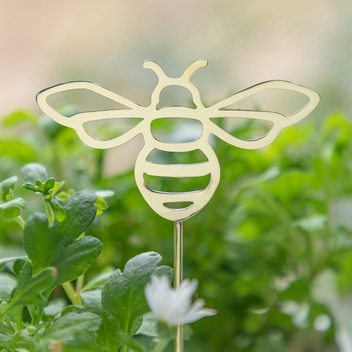 Brass Butterfly, Dragonfly & Bee Plant Stake - product image 13