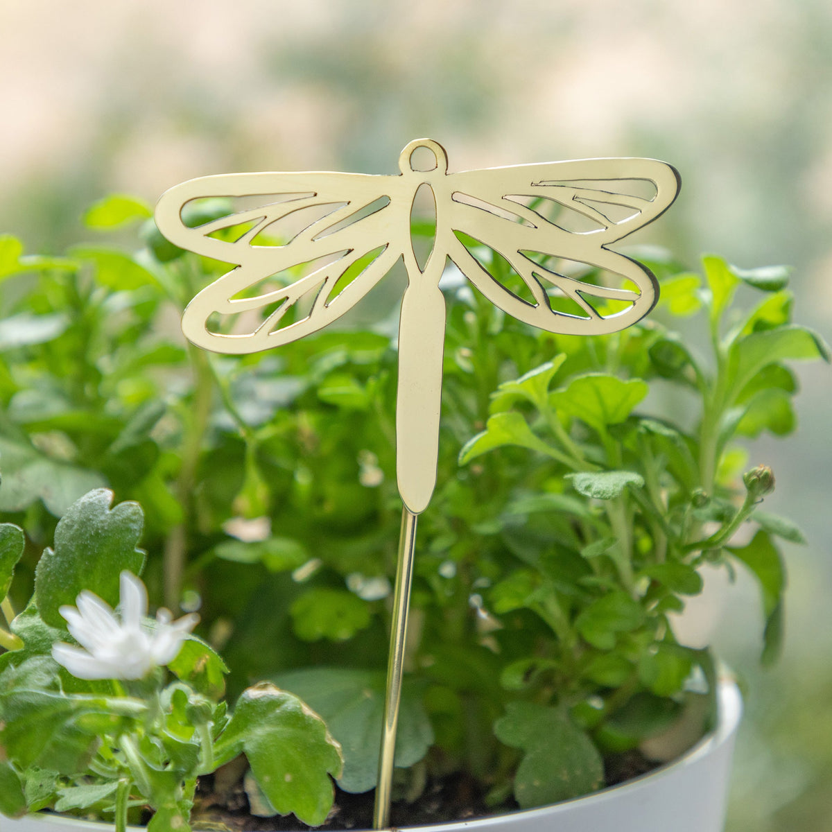 Brass Butterfly, Dragonfly & Bee Plant Stake - product image 12