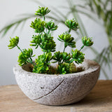 Spiral-Pattern Reclaimed Stone Planter